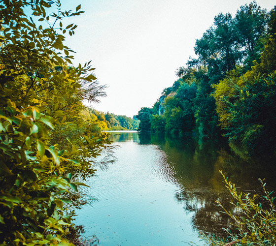 Landschaft Donau Auen