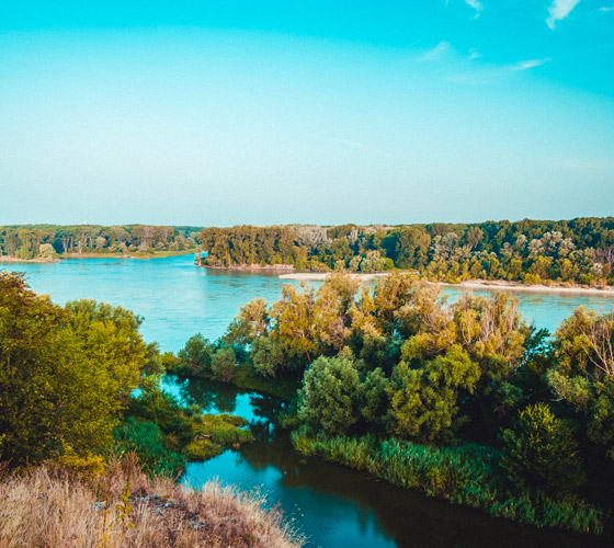Landschaft Donau Auen