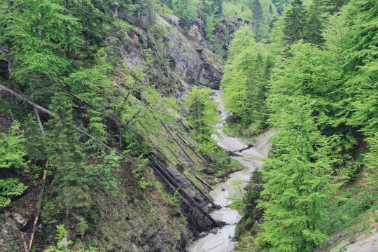 Nationalpark Kalkalpen Siezenbach
