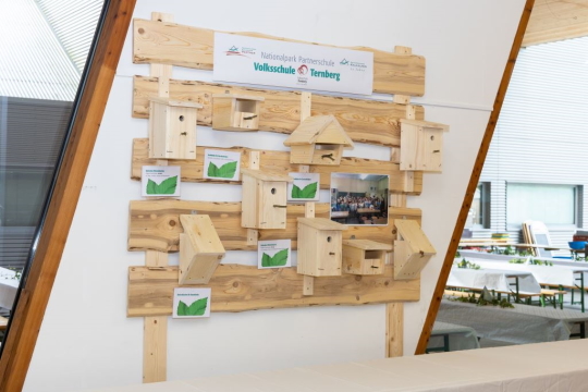 Partnerschulen Programn Nationalparks
