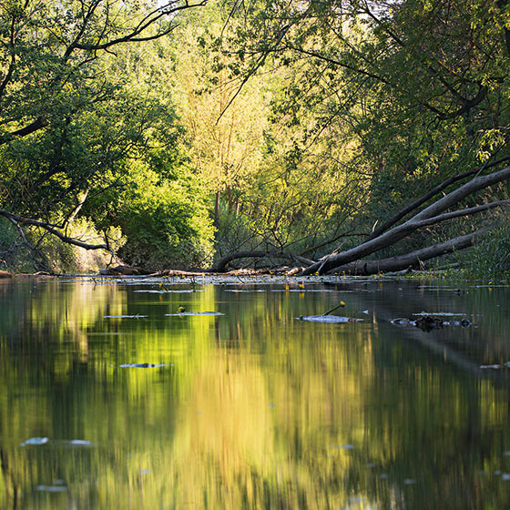 Nationalpark Donau-Auen