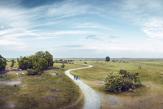 Nationalpark Neusiedler See