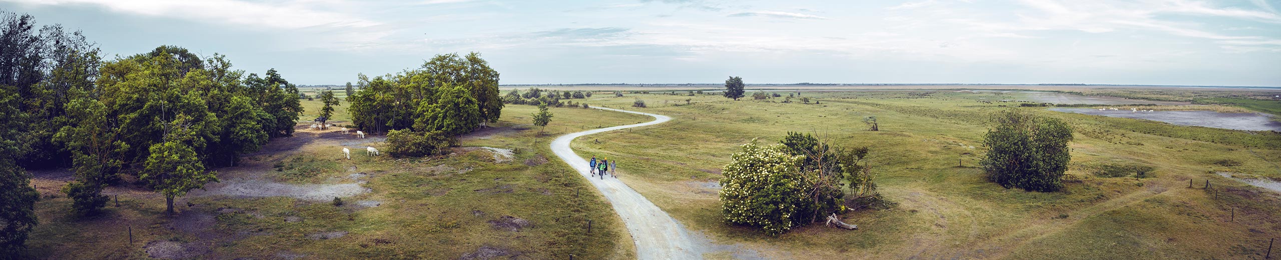 Nationalpark Neusiedler See