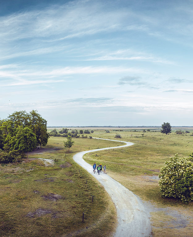 Nationalpark Neusiedler See