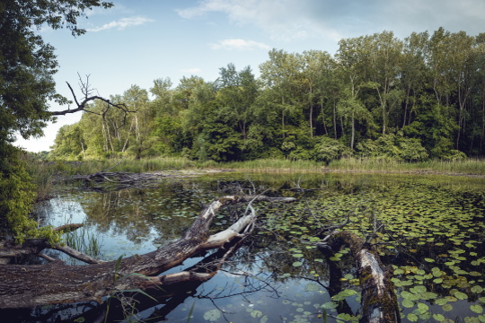 Nationalpark Donau-Auen