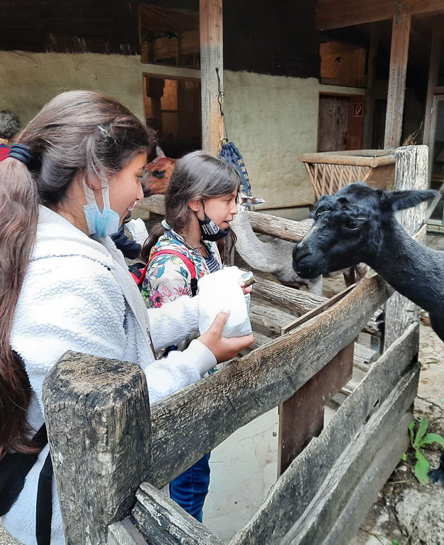 Caritas Lerncafes der Erzdiözese Salzburg